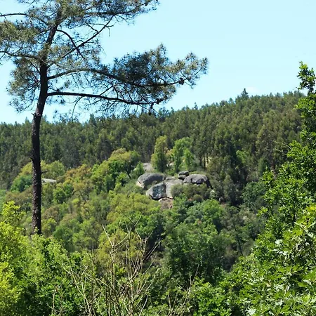Quinta Das Flores Daire